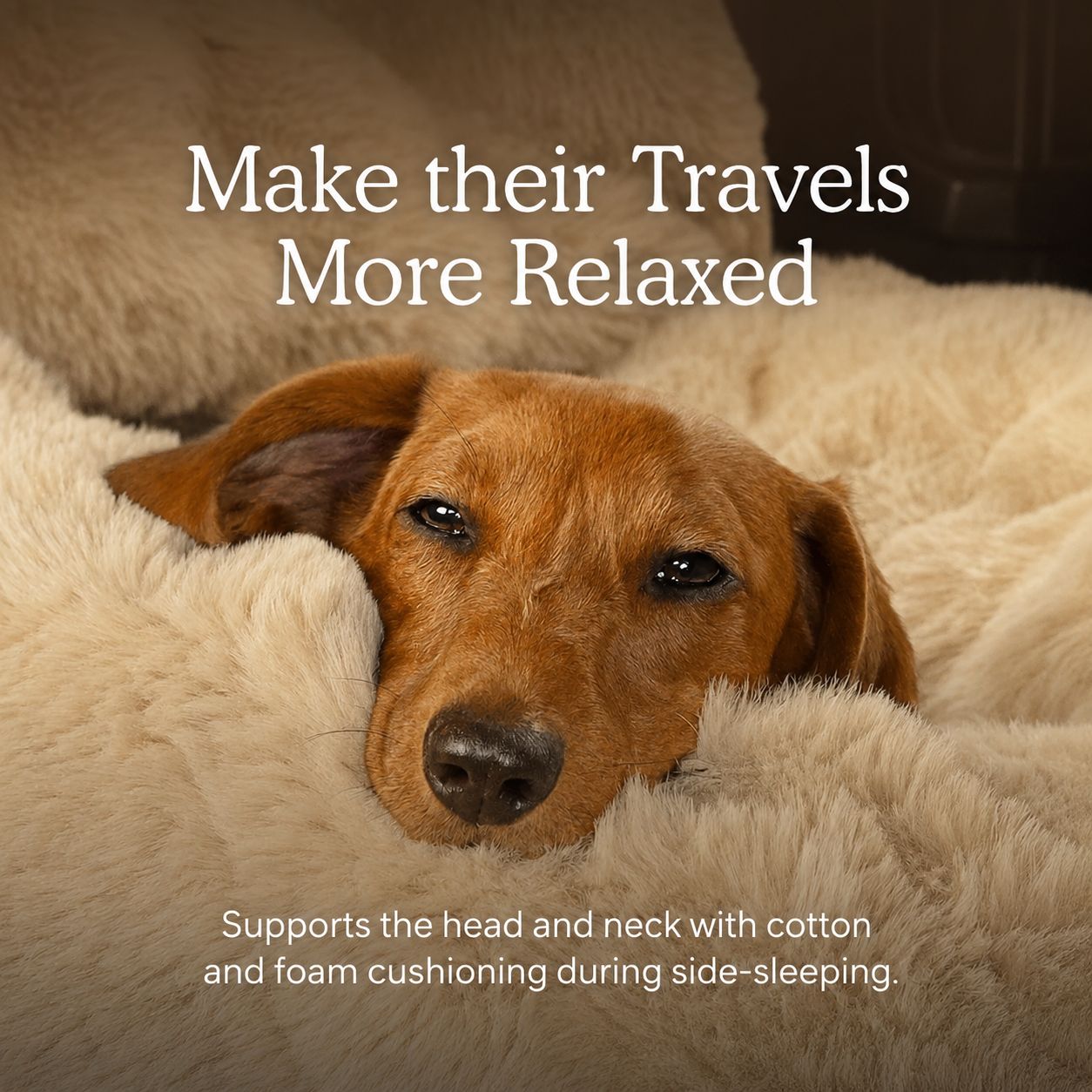 Pawsy Dog Car Bed