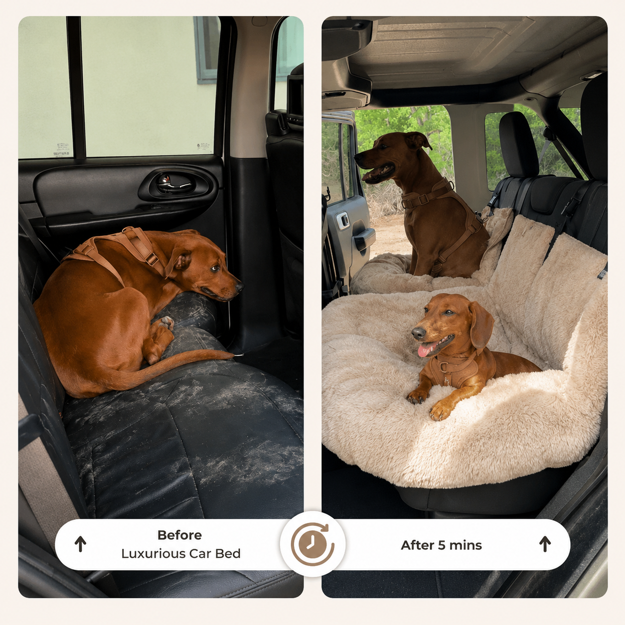 Pawsy Dog Car Bed