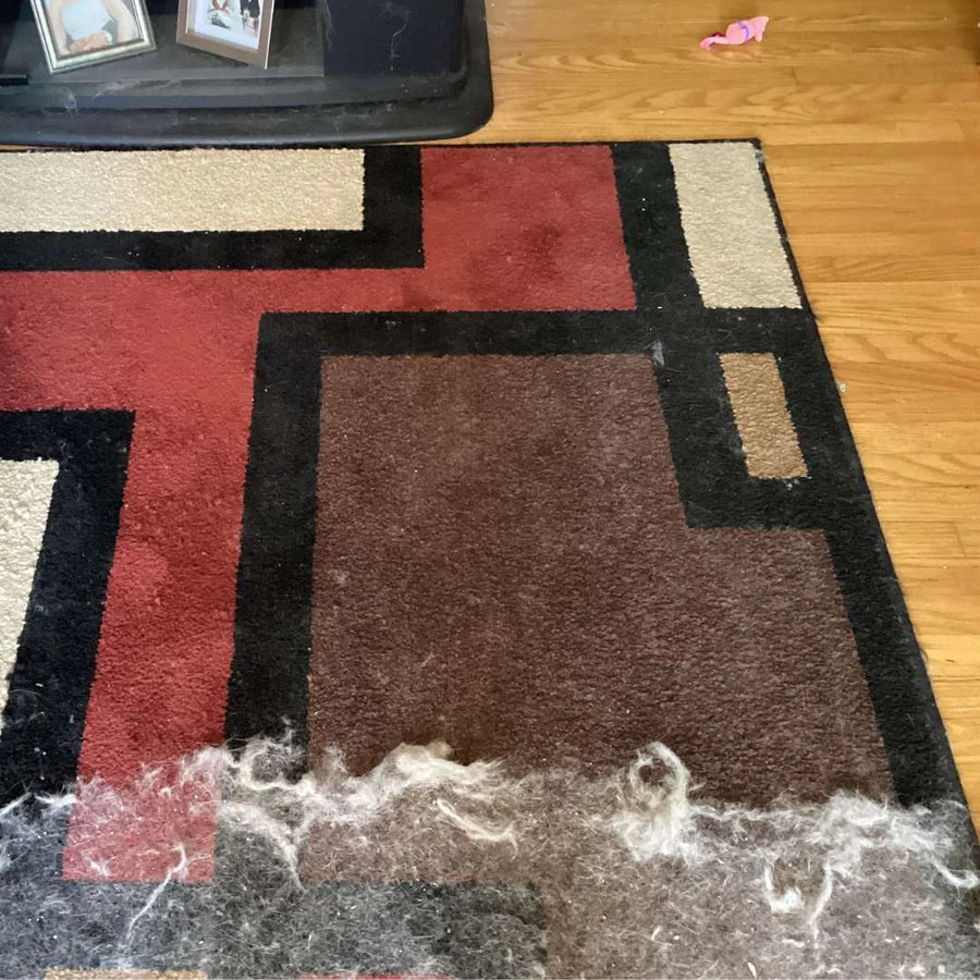 Pawsy™ FurLift Pro Kit