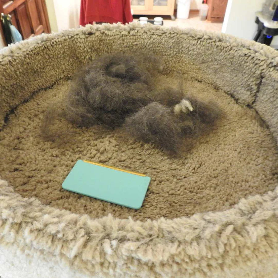 Pawsy™ FurLift Pro Kit