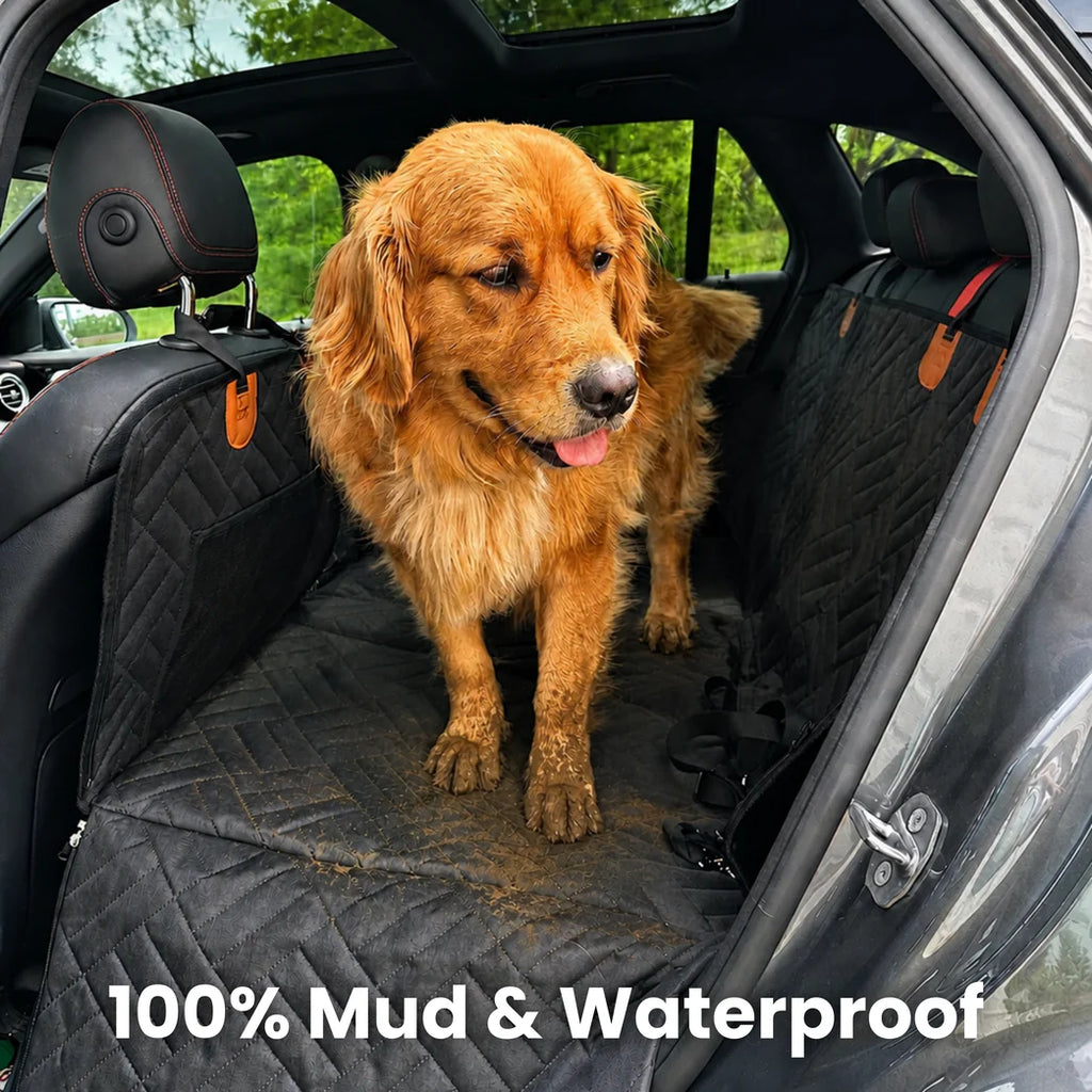 Pawsy™ Dog Car Cover