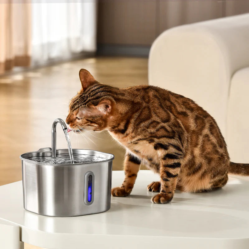 Pawsy™ Pet Water Fountain
