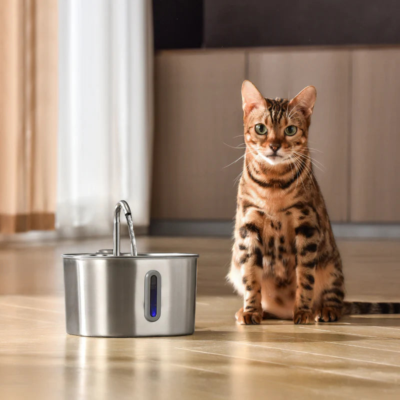 Pawsy™ Pet Water Fountain