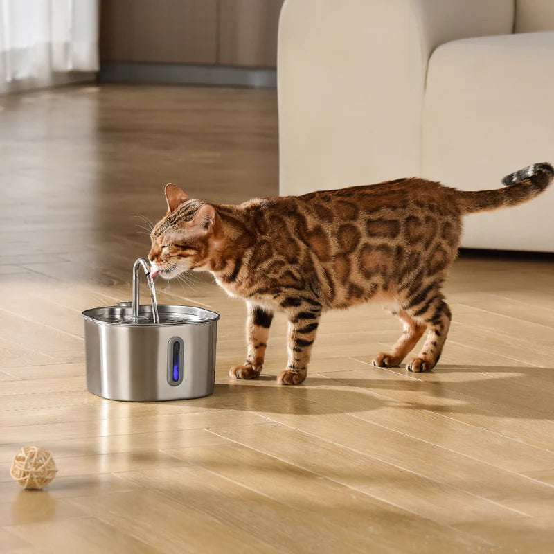 Pawsy™ Pet Water Fountain
