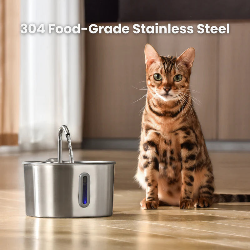 Pawsy™ Pet Water Fountain