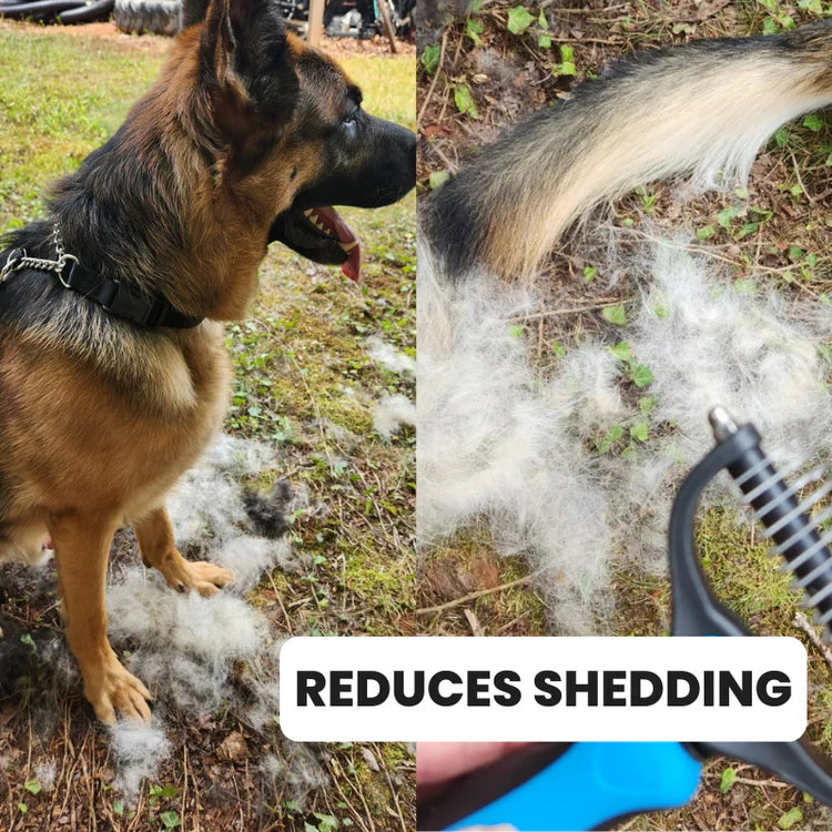 Pawsy™ Self-Cleaning Pet Brush